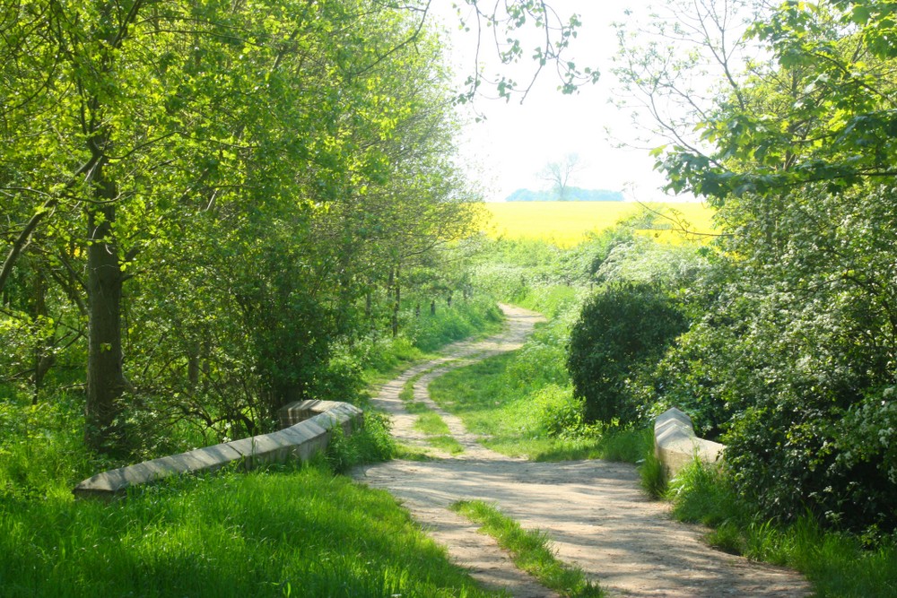 Drovers pathway through Ixworth